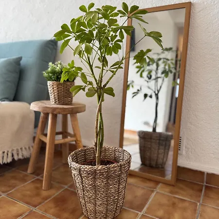 Appartement Cozy Bormes-les-Mimosas